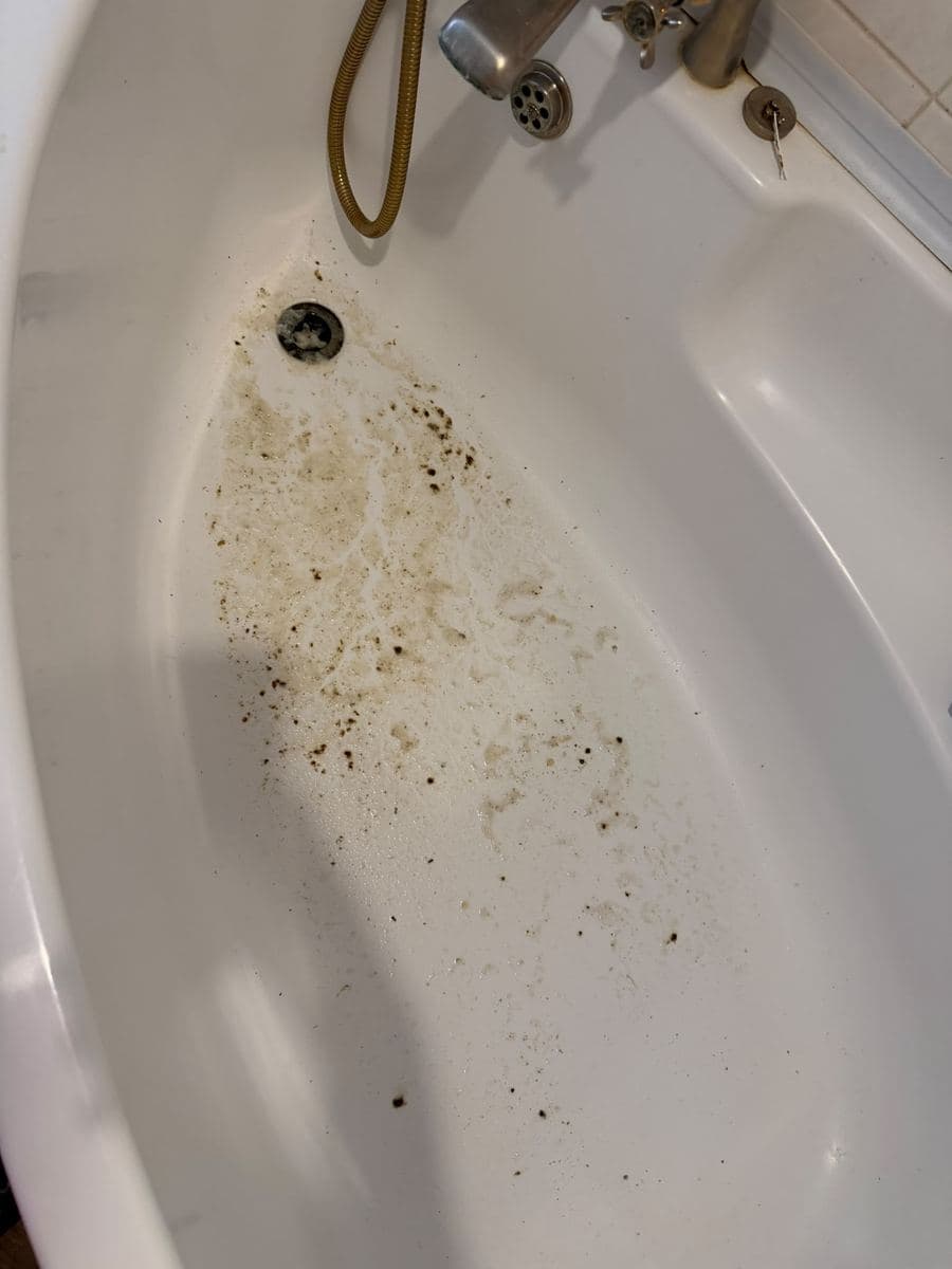 Bath filled with dirty water backing up from a blocked main drain